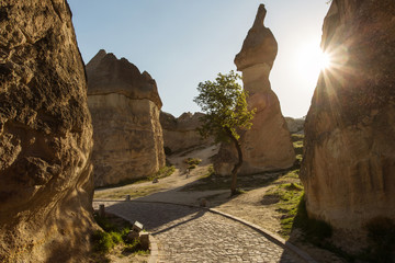 Pasabag valley the most striking fairy chimneys in Cappadocia with twin rock caps. This style is...