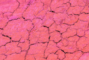 very colorful pink texture of earth that is dry from the sun