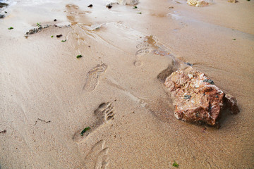 Footprints in the wet sea sand lead along the coast to the sea. The view from the top. A large sea stone is found on the way. The concept of tourism.