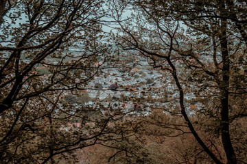 Village views from above