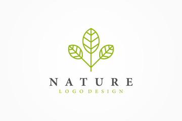 Green Nature Logo. Leaf or Tree Symbol in Linear Style isolated on White Background. Usable for Healthcare and Ecology Logos. Flat Vector Logo Design Template Element