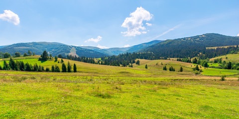 mountainous countryside at high noon. beautiful rural scenery with trees and fields on the rolling hills at the foot of the ridge. nature and sustainability development concept