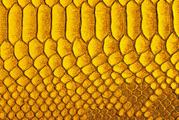 Yellow python skin background. Yellow reptile leather texture. Reptile exotic leather.