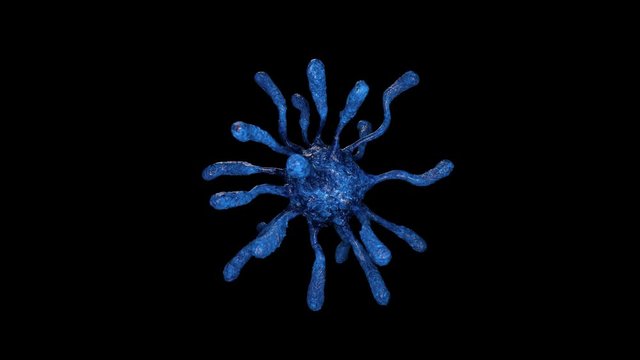 A virus, a rotating model, looks like this under a microscope, it affects all types of organisms, from plants and animals to bacteria. A person has immunity fighting them, or a vaccine is used