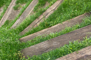 wooden old stairs step way and green grass 