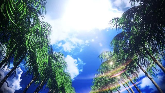 The Palms Avenue under a Sunny Sky VJ Loop Background V2