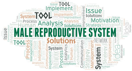 Male Reproductive System typography vector word cloud.