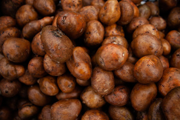 potatoes processed from Colorado potato beetle.