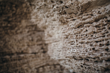 The texture of dry earth and mud.