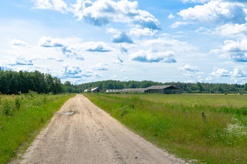 Fototapeta na wymiar A countryside road and agricultural field in summer. Photo taken in Turi in Jarvamaa, Estonia