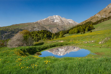 Fototapeta premium mountain reflecting