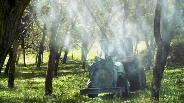 Un tracteur pratique l'&eacute;pandage de pesticides mat&eacute;rialisant la lumiere diffus&eacute; a travers les branche de noyer en dans la r&eacute;gion  rh&ocirc;ne-alpes.