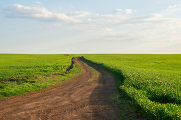 Summer landscape with green grass, roads and clouds. Rural roads. Sunset over a dirt road
