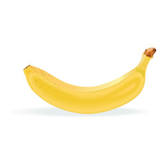 Vector drawing of a ripe yellow banana