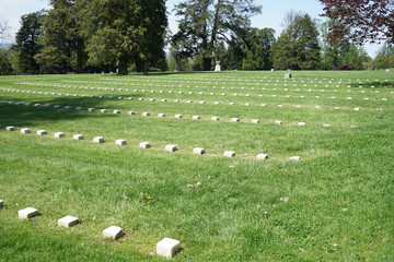 Tombstone markers in Gettysburg National Cemetery - obrazy, fototapety, plakaty