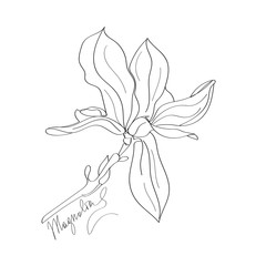 Magnolia line art,  Aromatherapy inspiration