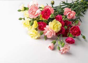 Fresh Carnation Flower Bouquet Dianthus or Schabaud