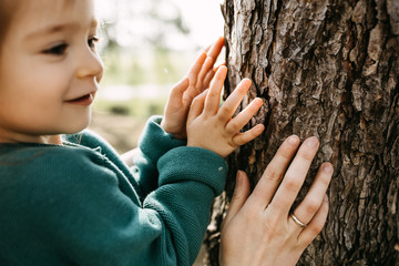 Close-up of hands of a little girl and a woman, touching a tree in a forest. Concept of caring and...