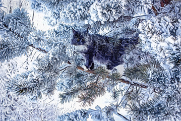 A very nice wild red and white maine coon cat sitting on the pine tree in the winter snowy forest.