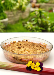 Close-up view on a rhubarb crumble with garden background