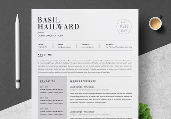 Clean and Professional Resume Layout
