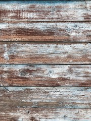 Old wood background | Wood wall