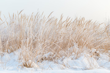 Frosty winter landscape