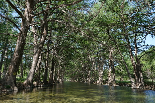 Frio River, Texas