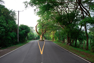 civilizacion y naturaleza