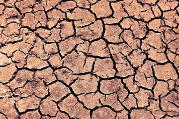 Dry earth with large cracks. Texture surface. The concept of drought.