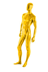 Gloss color mannequin male isolated