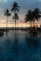 Fototapeta na wymiar Coconut palm trees silhouettes on a tropical beach during beautiful sunset.