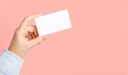 Female hands with cutaway, blank menu, discount card, business card on color pink beauty...