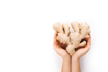 Fresh ugly ginger root in woman hands on white background, herb alternative medical concept.