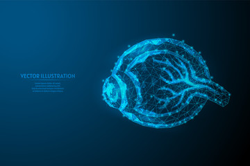 Human eyeball close up. Anatomy of the eye organ. Cornea, veins, muscles. The concept of vision, vision, health. Innovative medicine and technology. 3d low poly wireframe vector illustration.