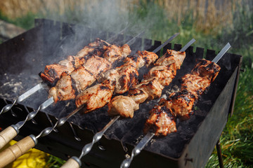 barbecue on the grill brazier in the coniferous forest. Kebab, shashlyk. Picnic in the forest