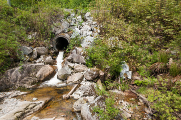 water pipe in the wild 