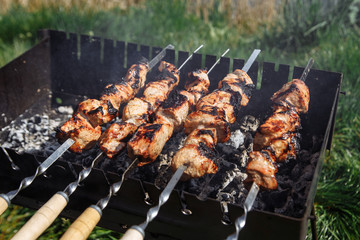 barbecue on the grill brazier in the coniferous forest. Kebab, shashlyk. Picnic in the forest