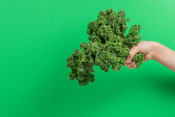 Hands holding a bunch of kale leaves over green background