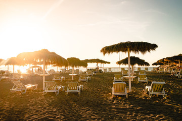 Beach straw umbrellas and palm trees