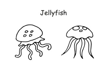 Jellyfish black and white outline doodle isolated vector illustration