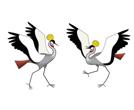 Two crowned cranes are fighting. Vector color image.