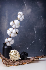 Decoration objects, hygge and cosiness concept.  Bark, branches of cotton flowers on white table. Decoration on grey wall