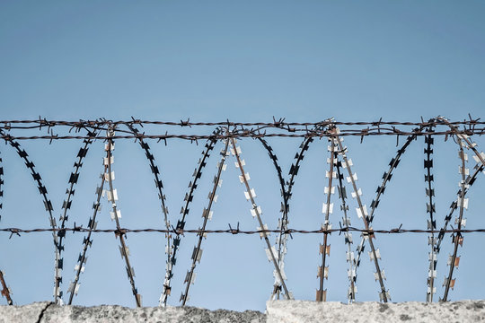 Barbed wire on concrete wall (restriction concept)