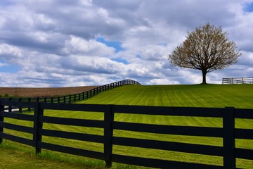 Fototapeta na wymiar Ohio farm 