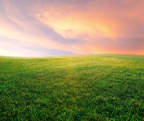 green grass field with beautiful dramatic summer sunset sky. 