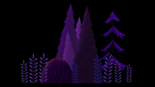 Seamless loop. Group of evergreen trees, grass and bushes swinging in wind.Purple misty night. Animated vector illustration with brushes and texture isolated on black background with alpha luma matte.