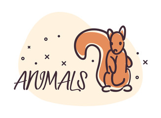 squirrel cartoon animal vector design