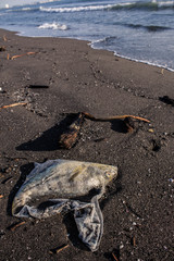 Contaminación en las playas