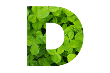 Green Clover Poppins Capital D on White Background